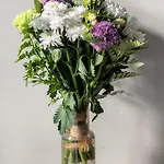 Numa Prague Root